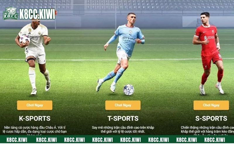 Cá cược thể thao được update nhiều kèo cược hay ho